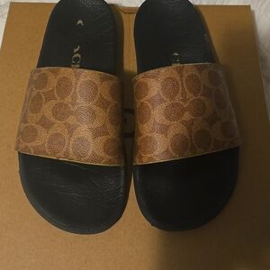 Coach slides